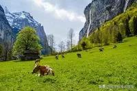 宁戚叩牛成语故事,一天学一句名句