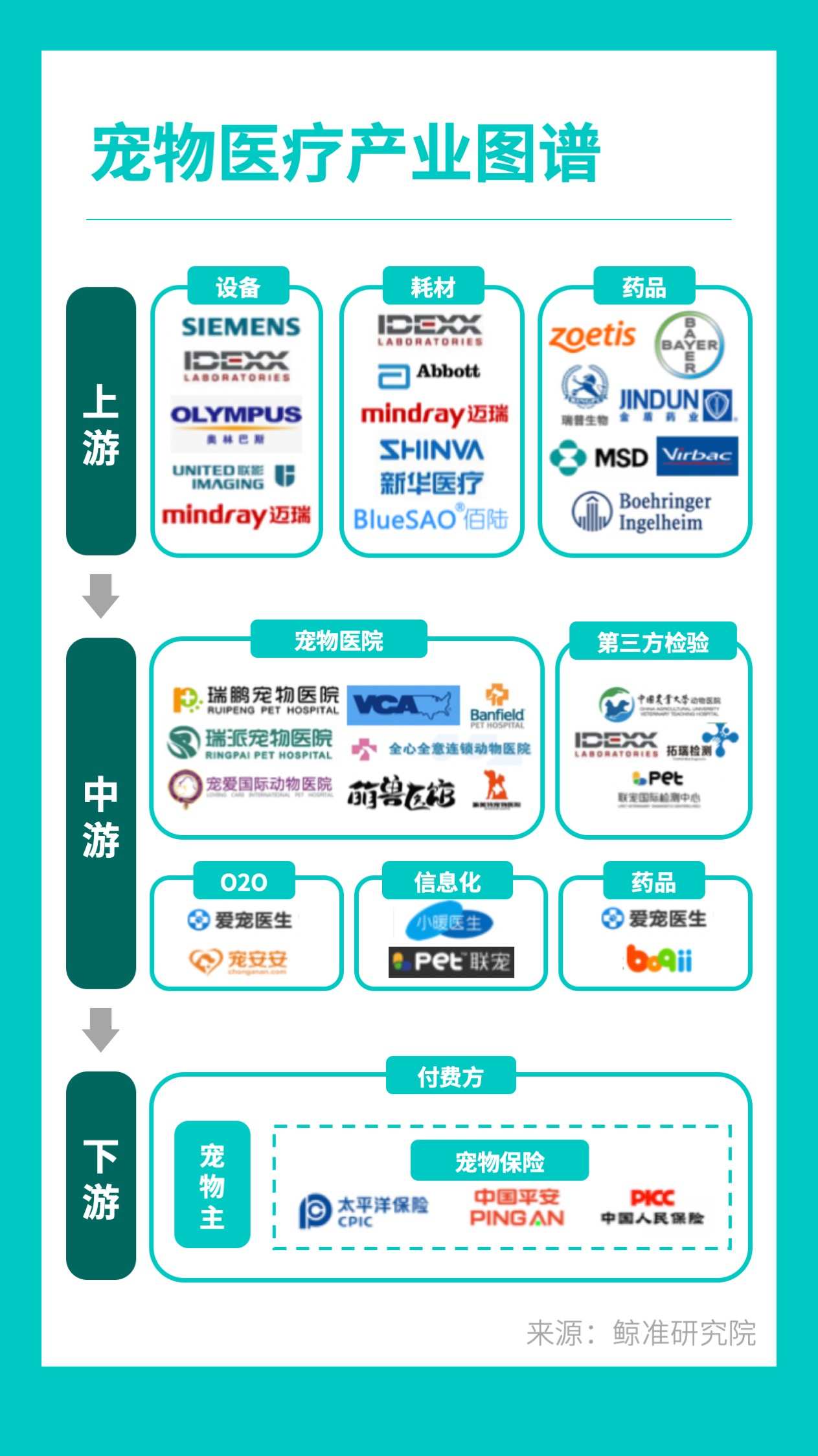 宠物医生一般去哪里就业,宠物医生高收入有哪些