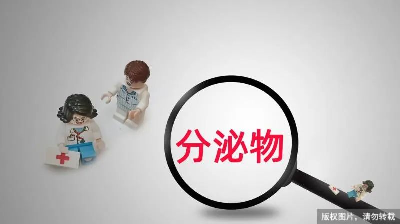 裤上有褐色分泌物是月经吗,内裤一直有黄分泌物怎么回事