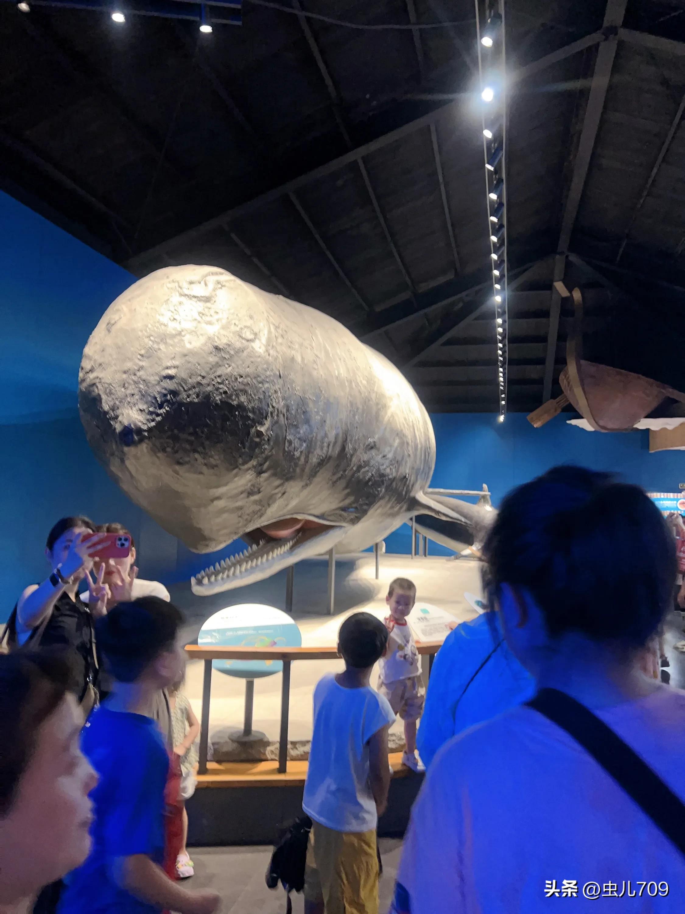 青岛海底世界视频,青岛海底世界和极地海洋世界