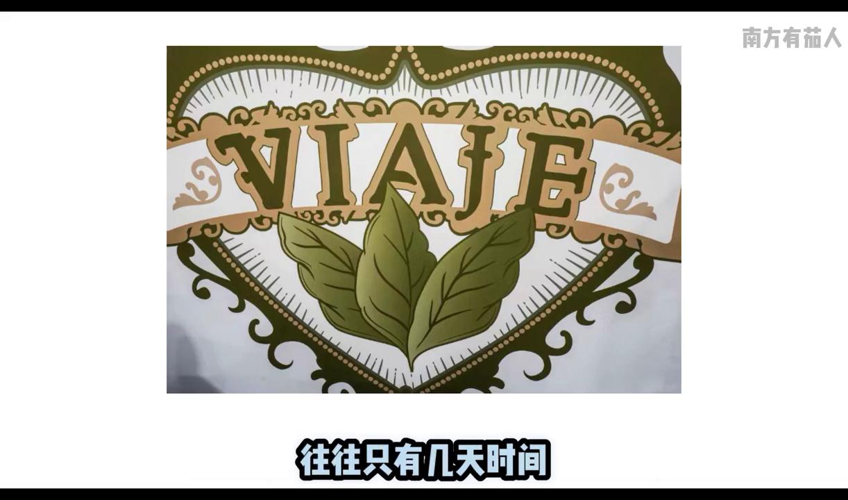 1分钟了解雪茄视频,非古雪茄入门级