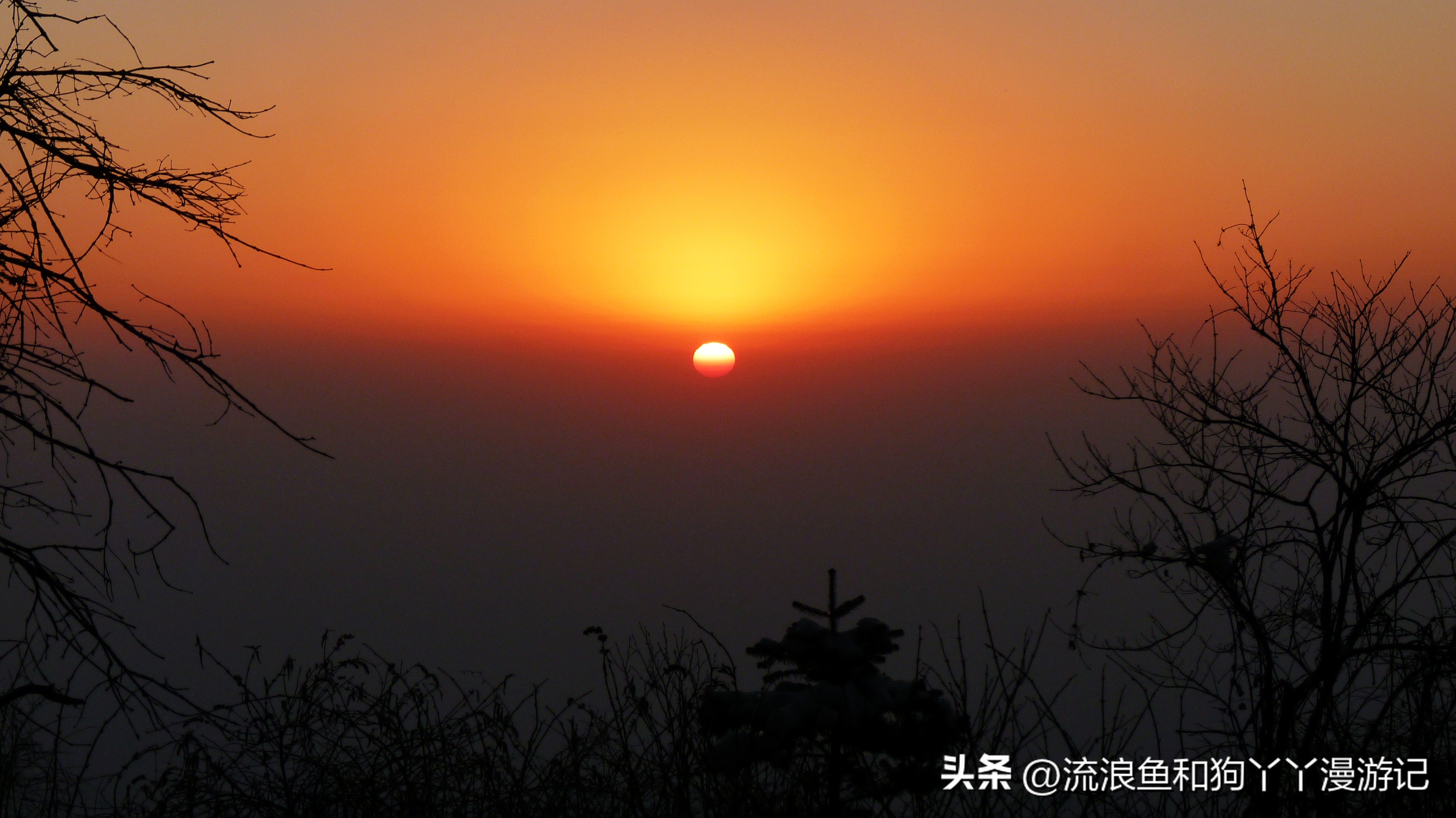 四月份成都近郊一日游好去处,2022成都近郊看雪一日游最佳去处
