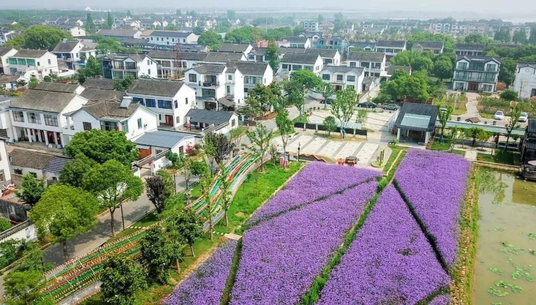 整村运营,整村运营顶层策划