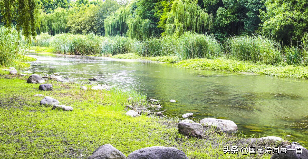 带花的诗句飞花令500首完整版,飞花令带绿的诗句100句很简单的