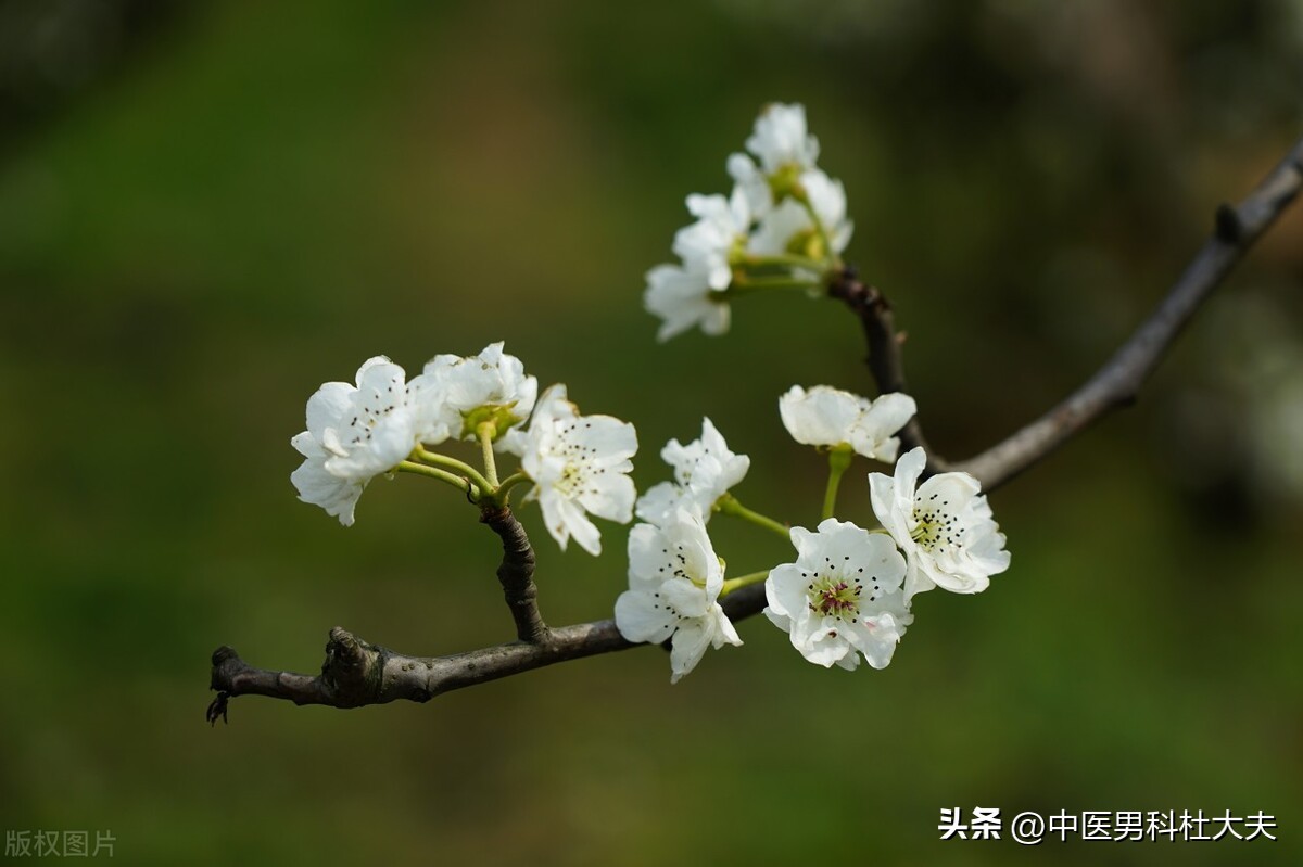 瀹楃瓔鐭皬鏄厓姘斾笉瓒冲悧,瀹楃瓔鐭皬鏄槼姘斾笉瓒冲悧