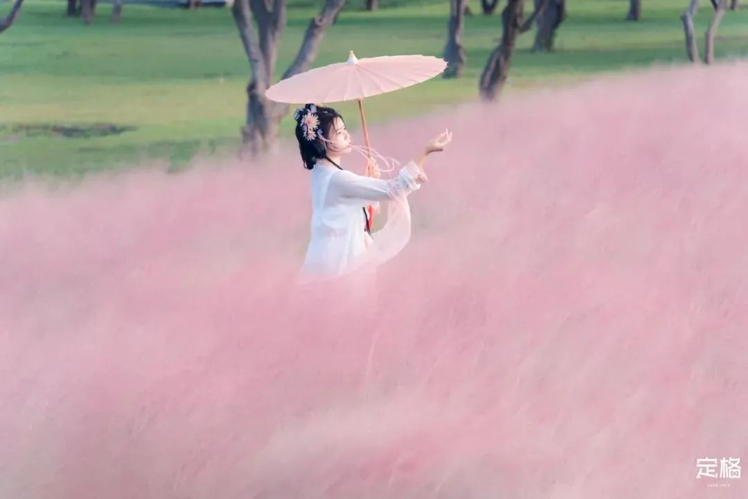 深圳值得去的70个公园你去过几个,深圳最值得去的七大主题公园