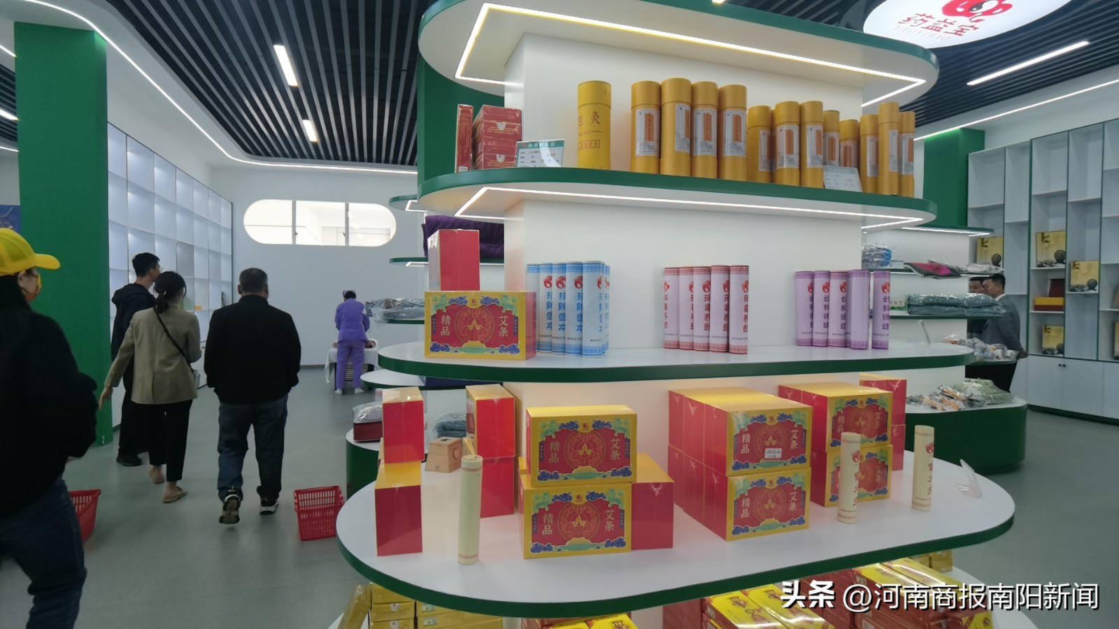 南阳艾草新品种大全,南阳艾草种植的有利自然条件