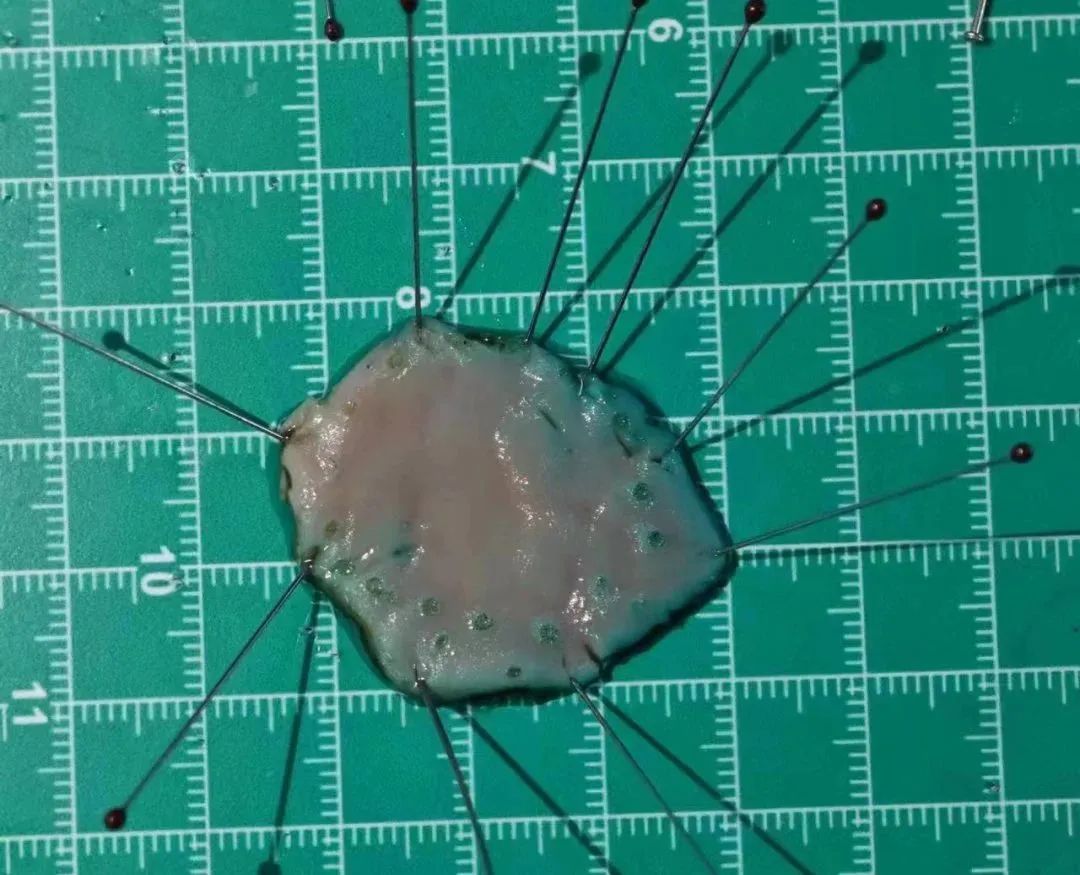 朗豪专家培训班,朗豪专家培训学校第六期精彩来袭