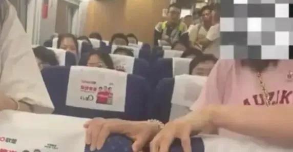 高铁掌掴事件打人夫妇是谁,高铁掌掴事件定性为互殴原视频