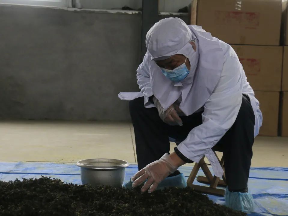 小产业带动乡村振兴大步伐,产业扶贫助力乡村振兴