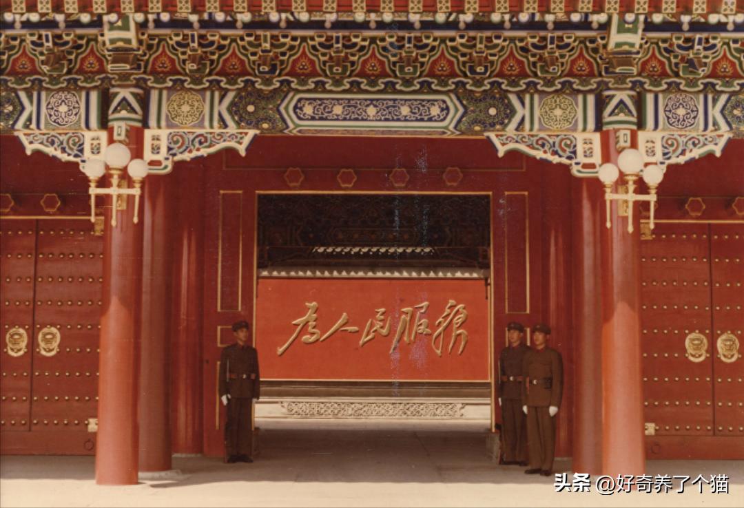 20张罕见图,最罕见的20张图片