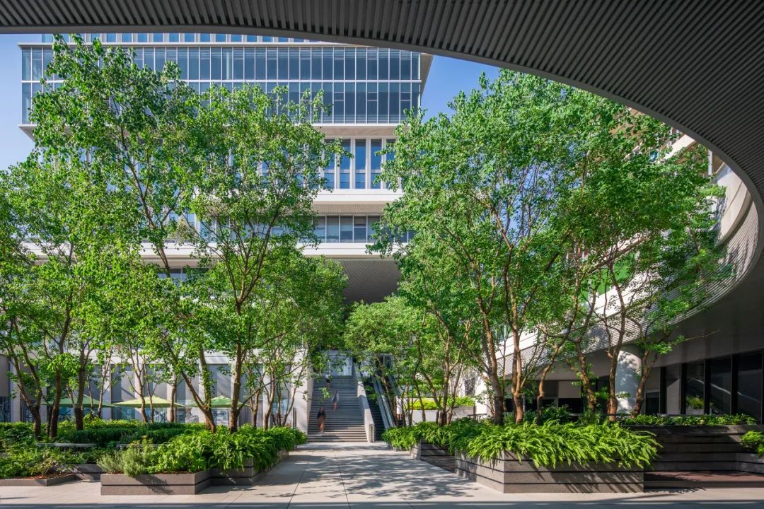 涓婃捣涓囩tod澶╃┖涔嬪煄,涓囩涓滆帪鏈潵澶╃┖涔嬪煄tod