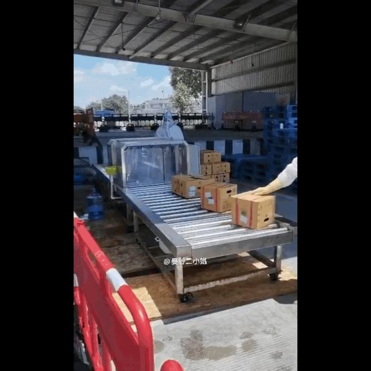 真的榴莲自由了！在泰国榴莲工厂干饭，幸福的泪水从嘴角流下来