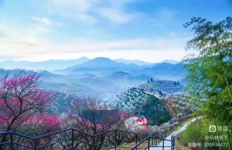 安吉大竹海景区自驾攻略,安吉竹海一日游旅游攻略图