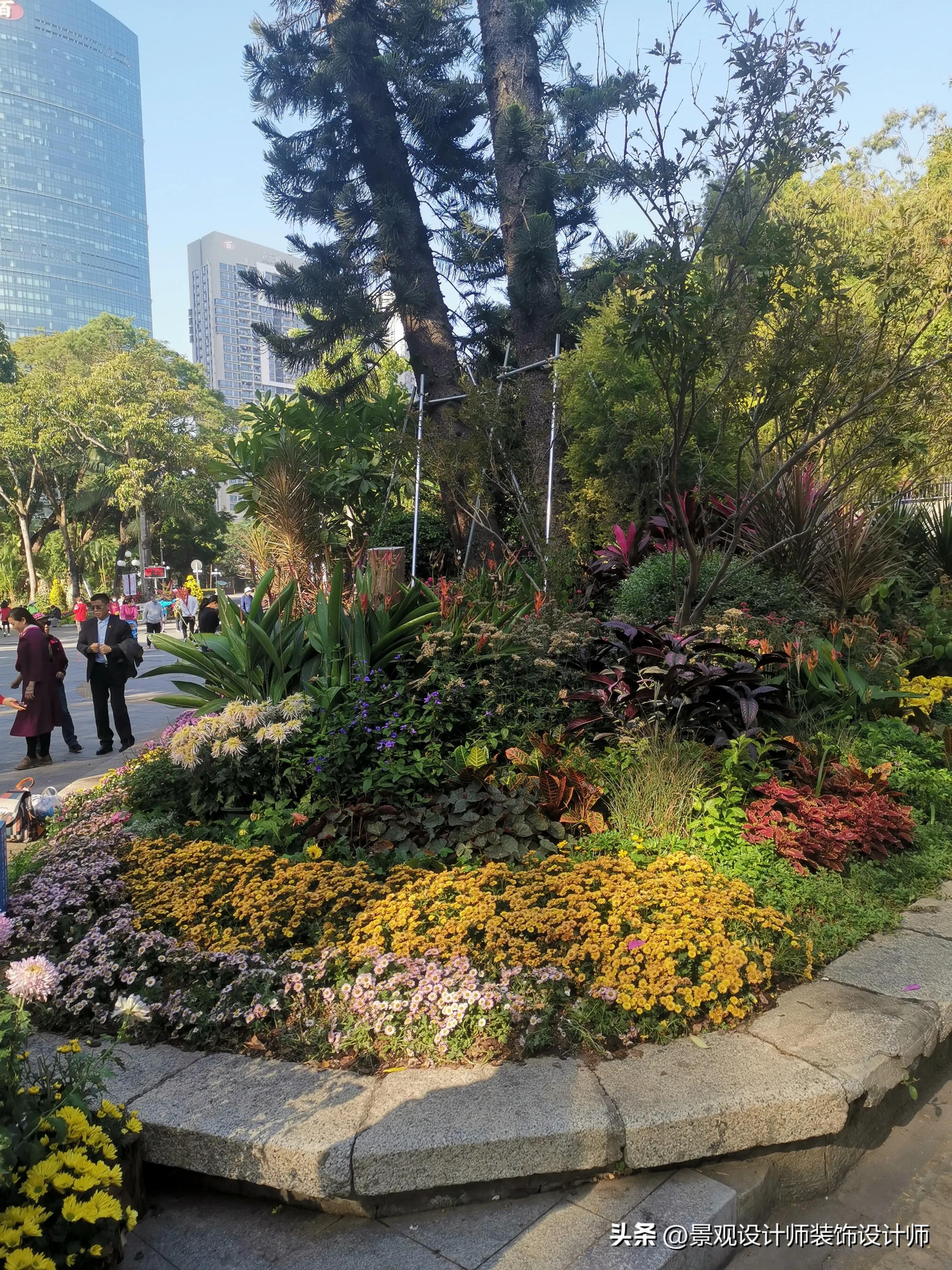 深圳市东湖公园广场舞,深圳市东湖公园收费标准