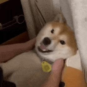 发际线高低怎么样才合适,发际线高低有没有影响运气