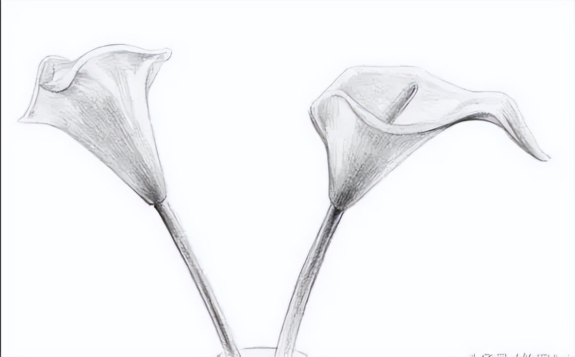 画出玻璃的质感,零基础可以描摹的画