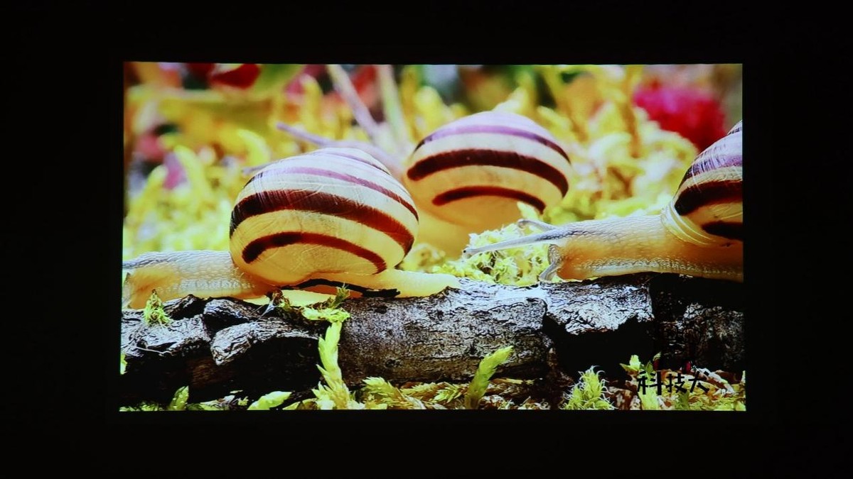 联想小新520投影仪观影效果,联想小新520投影仪测评