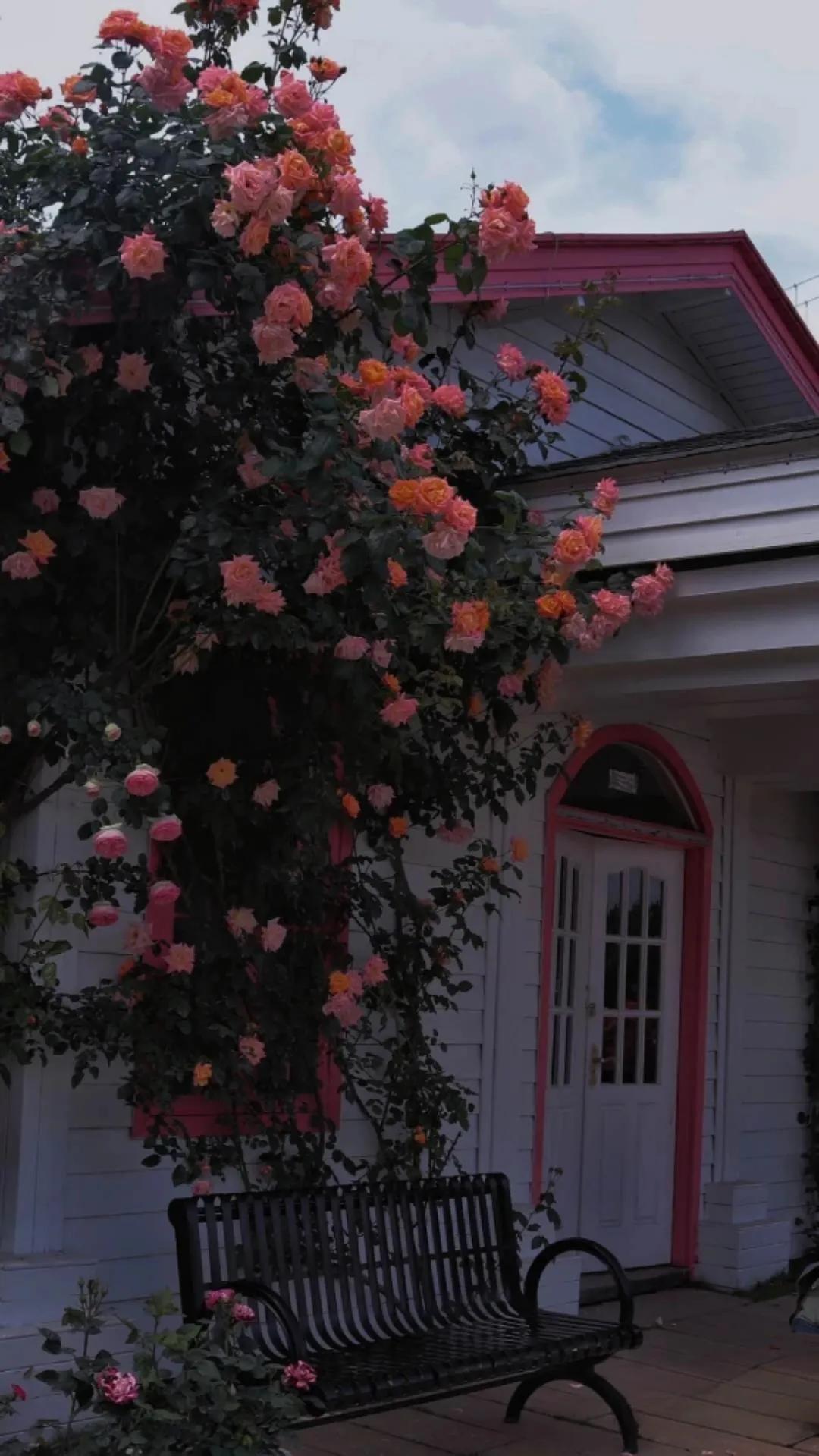 青岛不起眼高薪行业,高薪又稀缺却鲜为人知的职业