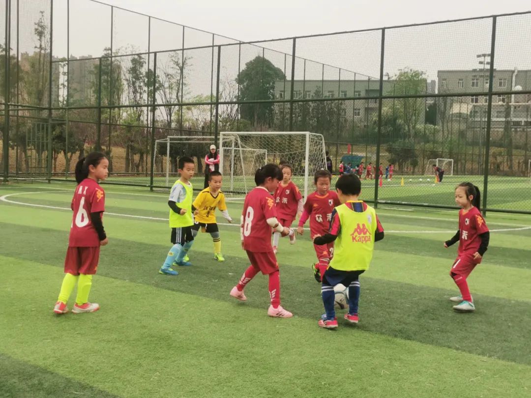 锦江区少儿足球比赛,锦江区小学足球联赛