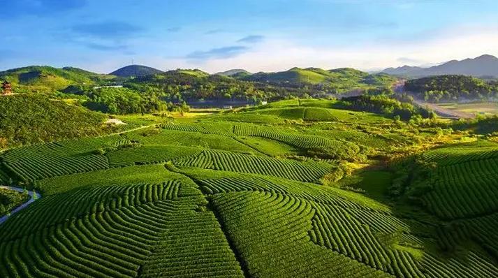 农田专项债券项目绩效目标设置表,高标准农田项目如何申报专项债