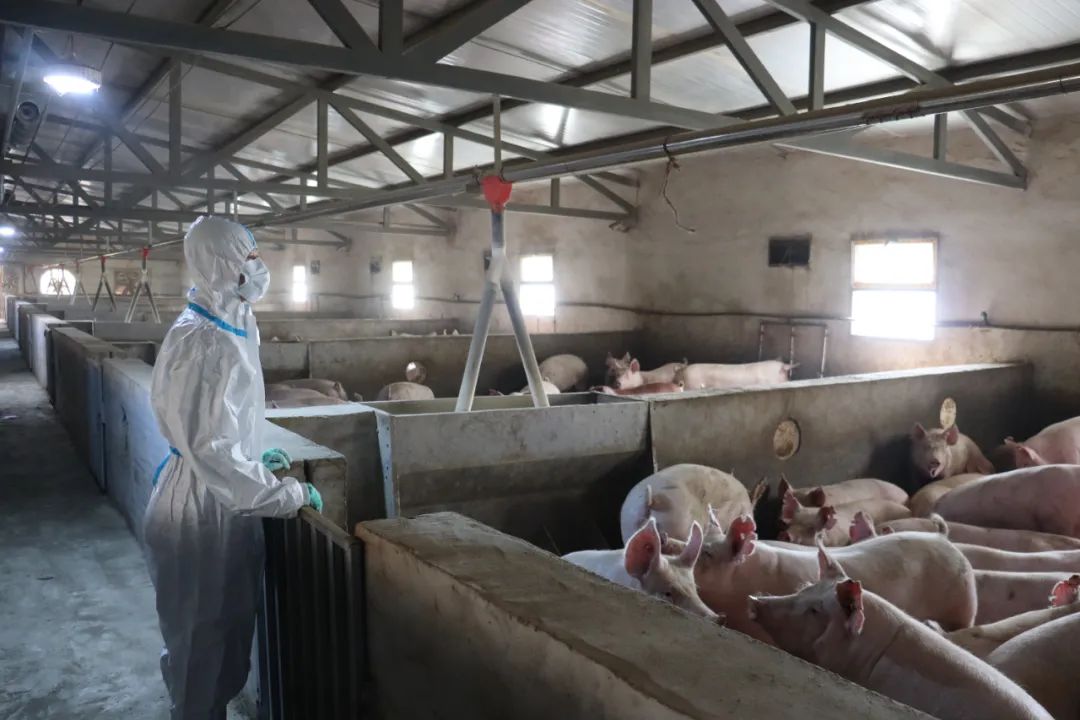 凝神聚力真抓实干推动高质量发展,聚焦三年行动凝神聚力促发展