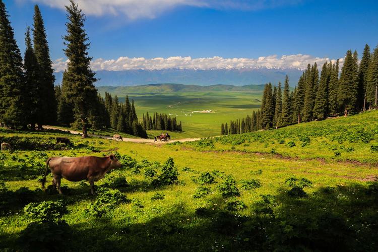 8月初到新疆旅游攻略,8月游新疆要注重什么