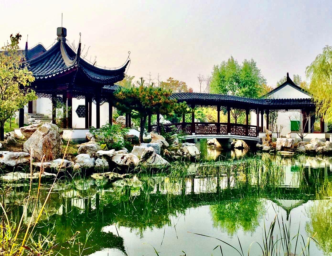 一天一首古诗词提升记忆力,古诗词枫桥夜泊快速记忆方法