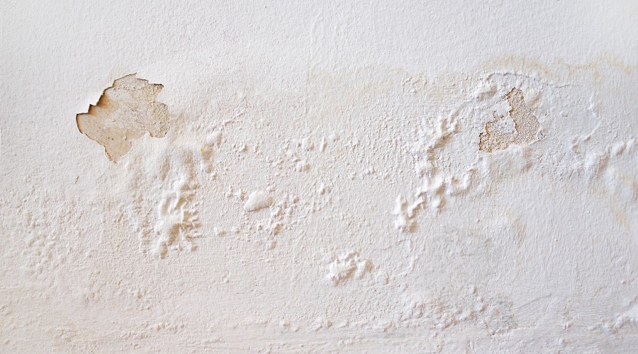 家装甲醛污染源来自于哪些地方 (新房装修哪些是甲醛污染源)