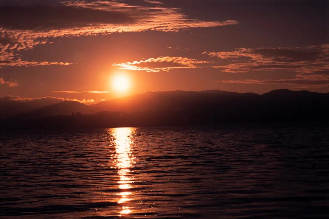 dazz复古胶片相机 (有哪些好看又便宜的复古胶卷相机)