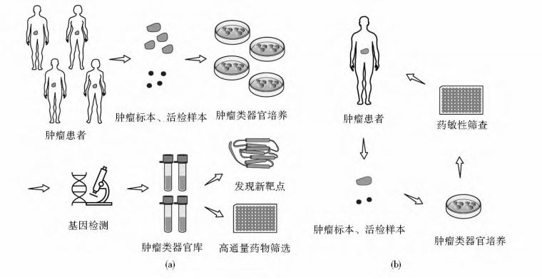 【胖熊医生谈肿瘤防治】重庆大学附属肿瘤医院开了家“生物银行”，可实现肿瘤患者治疗方案“私人定制”？