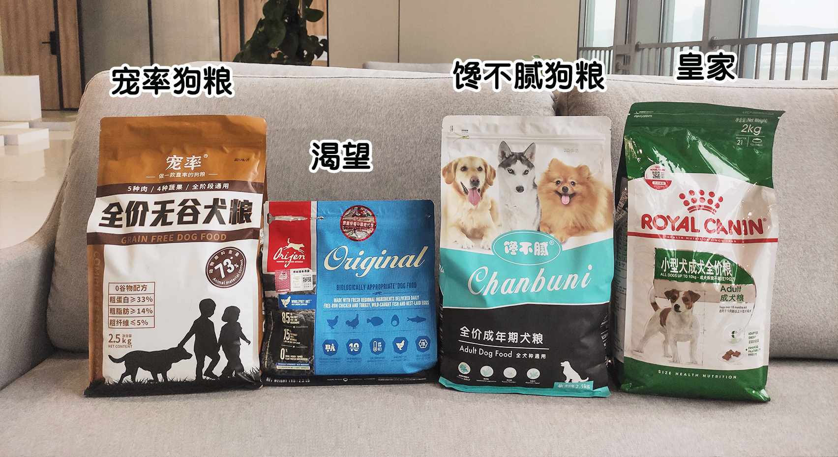 英国斗牛犬和其他的狗狗咋样,美国斗牛犬法国斗牛犬英国斗牛犬