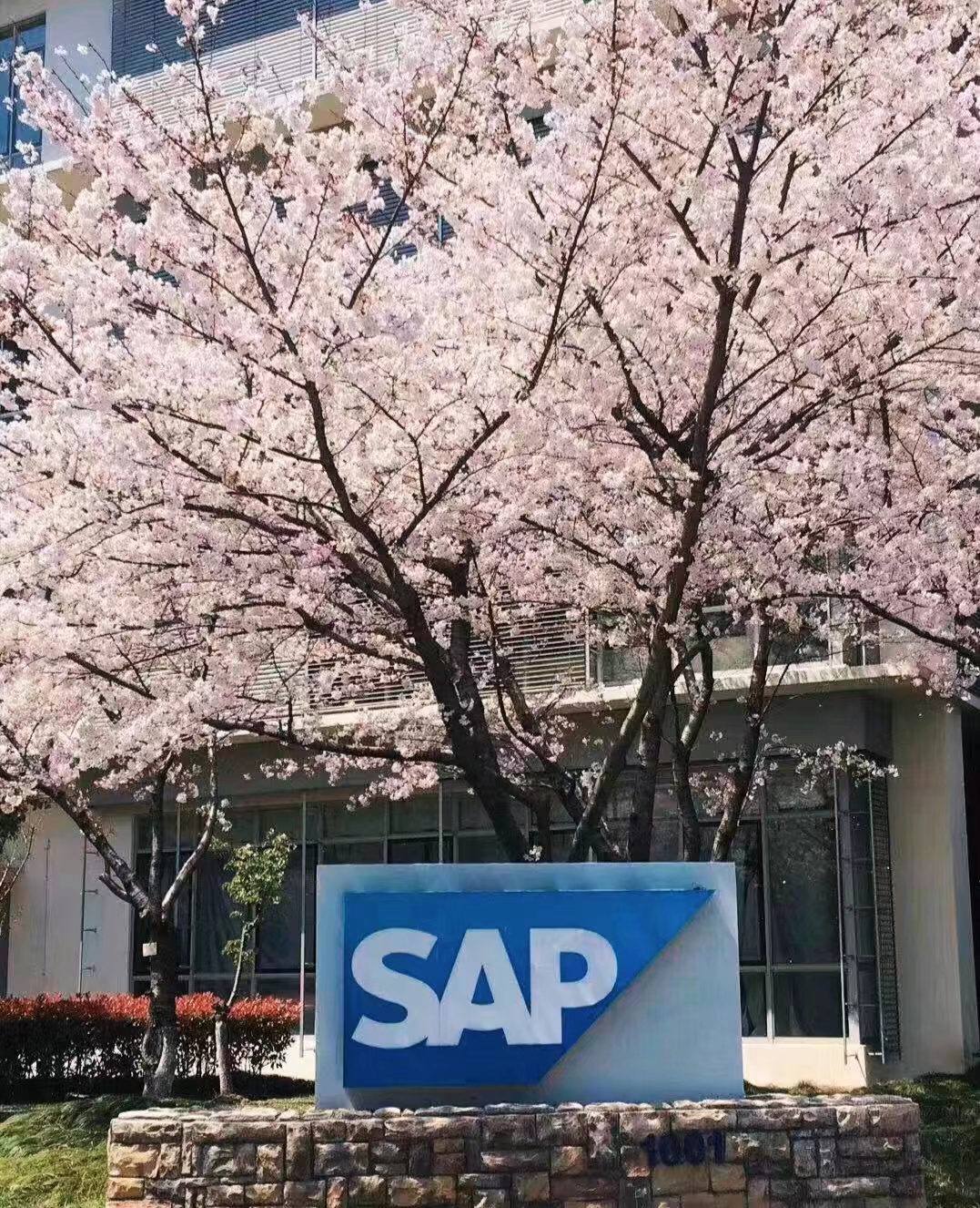 全球著名IT公司SAP有哪些福利