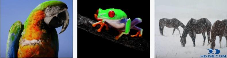 三星lsp9t激光电视参数,三星lsp9t评测