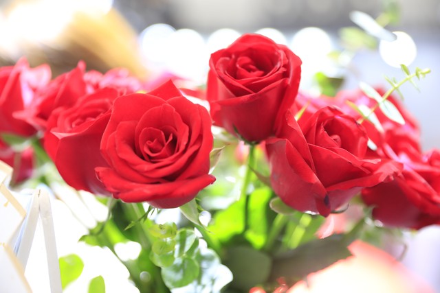 她对我说:“若想通了,情人节那天,你就送我一束红玫瑰!”