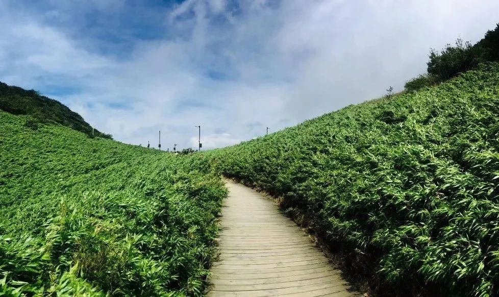 南川区金佛山旅游攻略,南川金佛山一日自驾游攻略