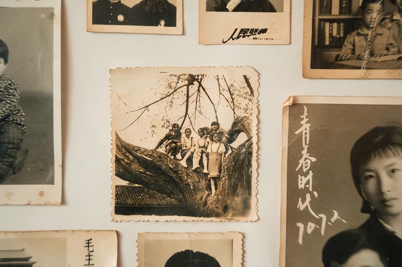 双流本土老字号珠宝店,双流百年老字号