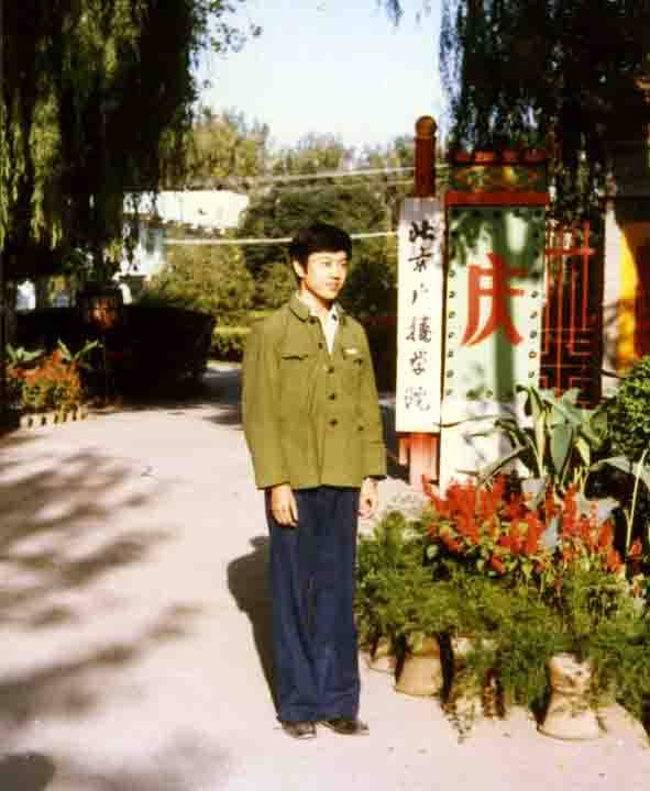 新闻联播前主播杨柳,新闻联播播音员杨柳现在状况