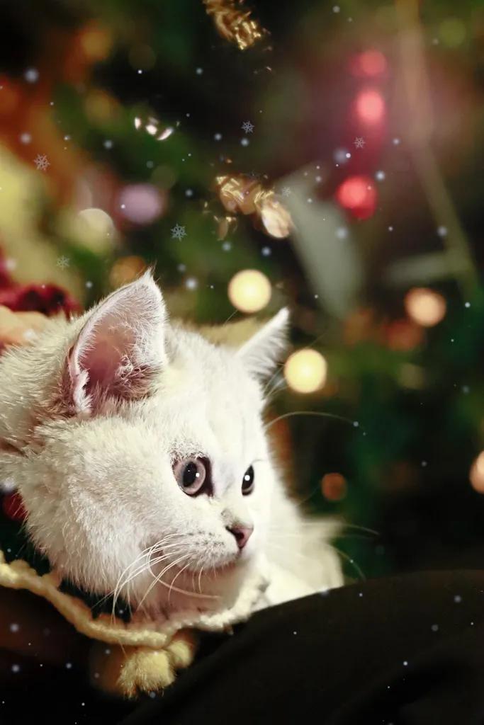 养宠物的利与弊观点,养宠物是弊大于利