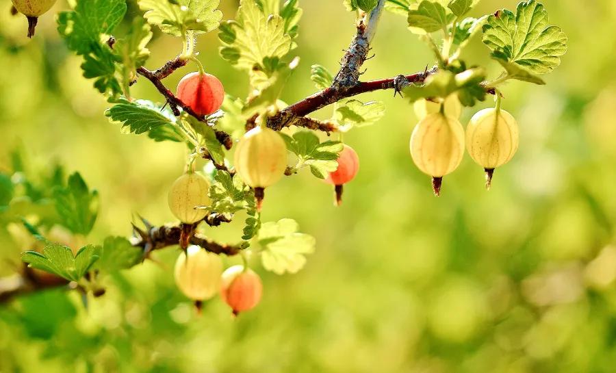 时光清浅岁月流年,时光悠然岁月清浅