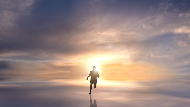 怎么快速适应新的工作环境,怎么才能让狗快速适应新环境