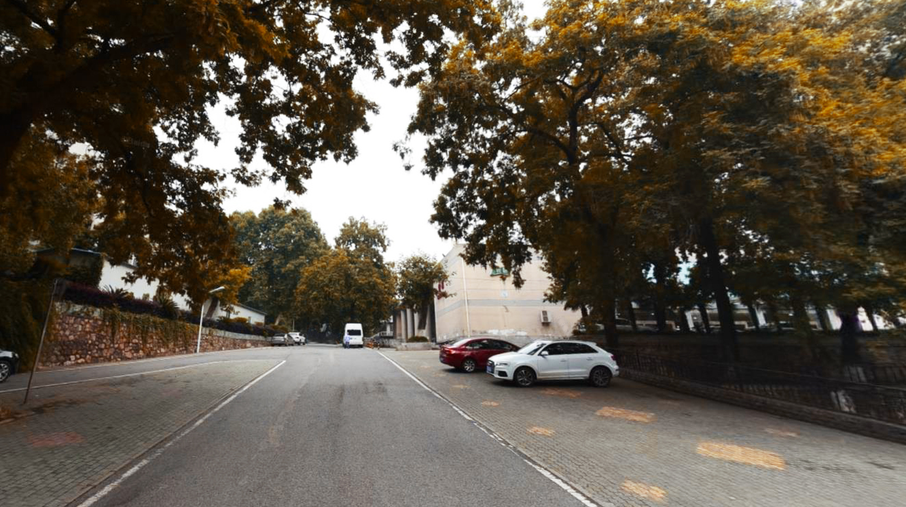 武汉城市学院梧桐树,武汉被高校环绕的景区