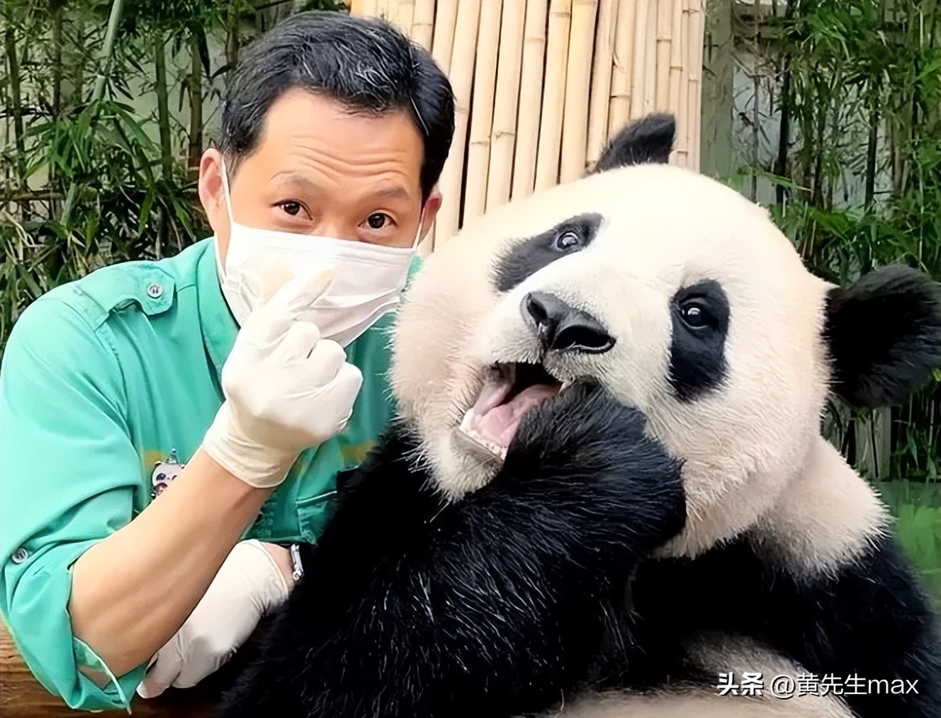 福宝回国姜爷爷会来中国看福宝吗,福宝回中国后还能与姜爷爷见面吗