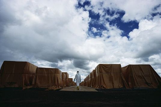 22岁女孩吃感冒药不幸离世,女子不幸中毒身亡