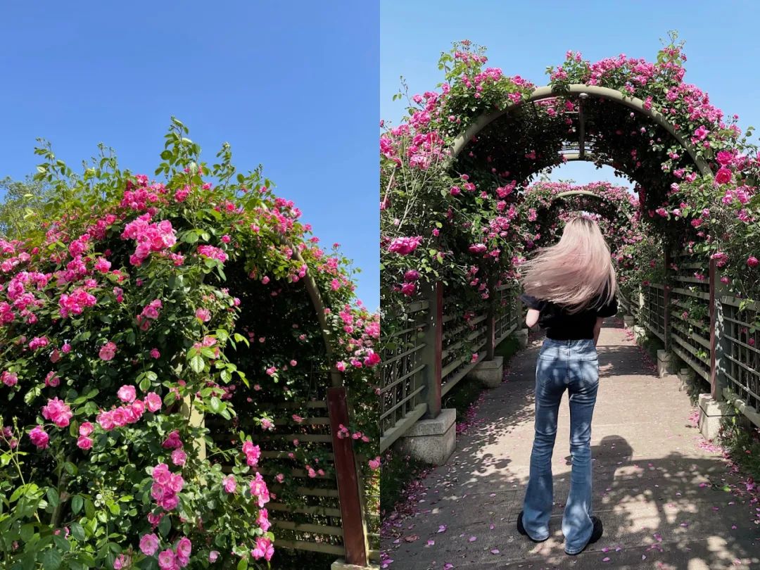 听我的，四月的杭州才是浪漫天花板。