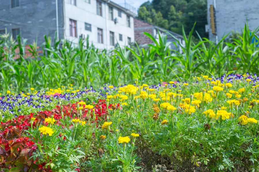 桐庐瑶琳仙境一揽芳华民宿,桐庐瑶琳仙境分水江边民宿