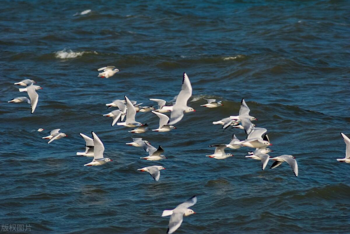 山东财政2020年1季度收入排名,山东财政收入前10名