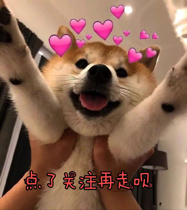 萨摩耶怎么去泪痕最快,萨摩耶狗身上掉毛怎么办