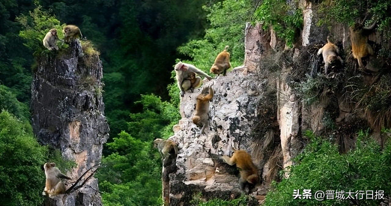 晋城蟒河风景区宾馆,晋城蟒河风景区门票