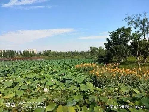 遂宁风景太美了,遂宁真的很美